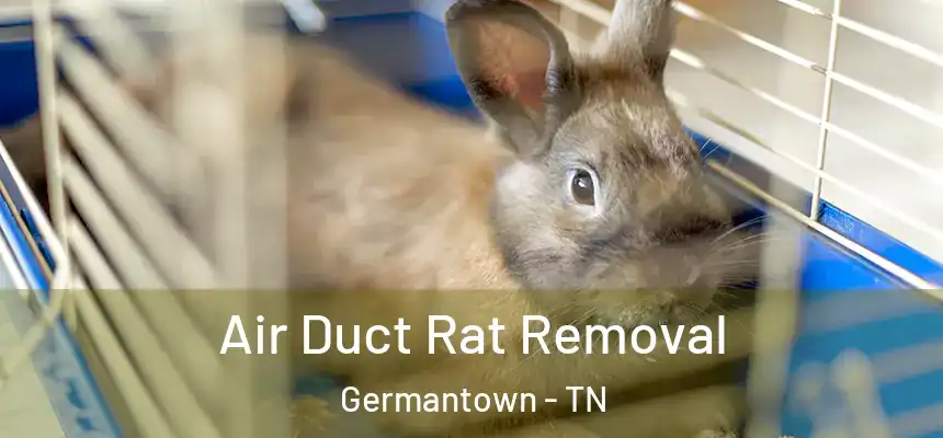  Air Duct Rat Removal Germantown - TN