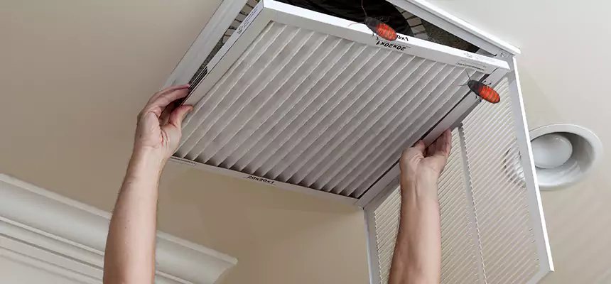 Preventive Cockroach-Proofing for Ducts in Germantown