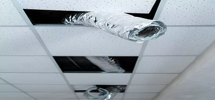 Affordable HVAC Sanitizing After Pest Removal in Germantown