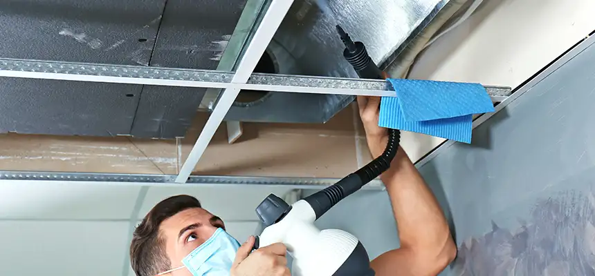 Our Air Duct Rodent Removal Services in Germantown, TN