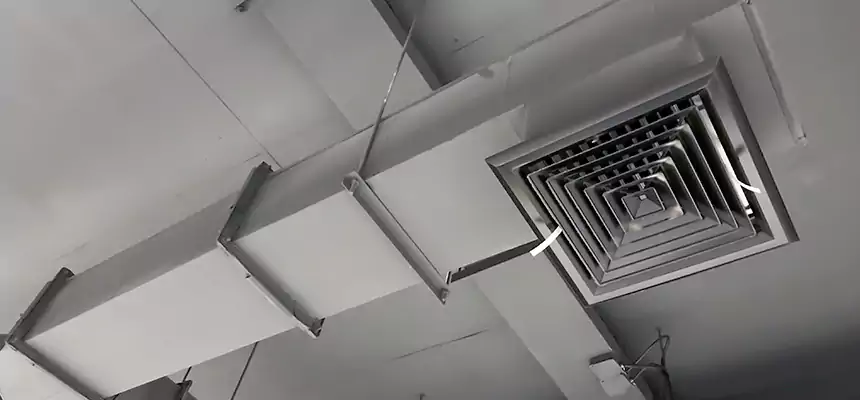 Our Rodent Droppings In Vents Services in Germantown, TN