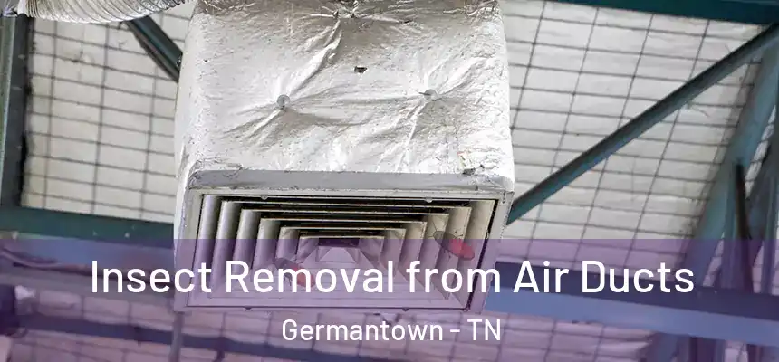  Insect Removal from Air Ducts Germantown - TN