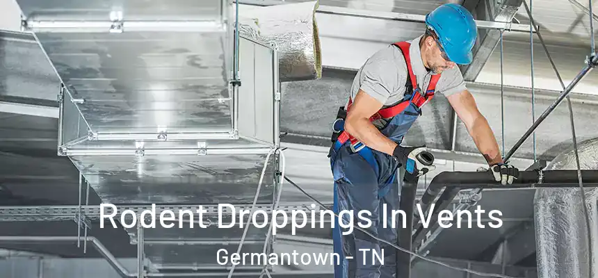  Rodent Droppings In Vents Germantown - TN