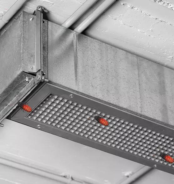 About Air Duct Cockroach Removal in Germantown, TN