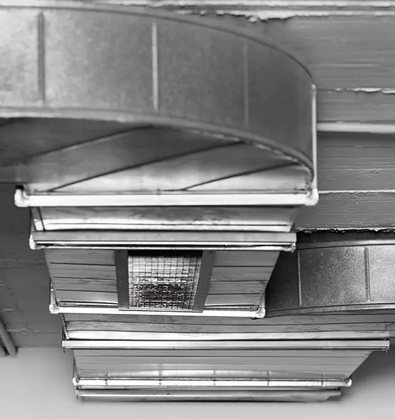 Professional Air Duct Pet Hair Removal in Germantown, TN