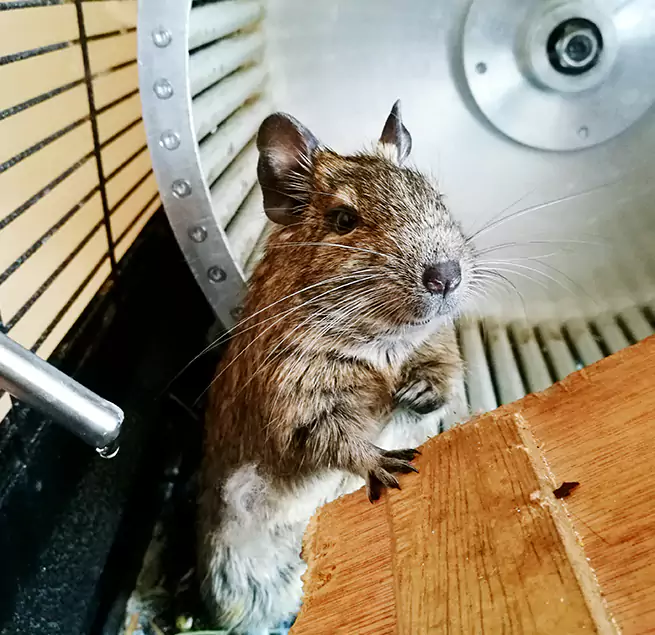 Why Homeowners & Businesses Trust Us Germantown, TN?